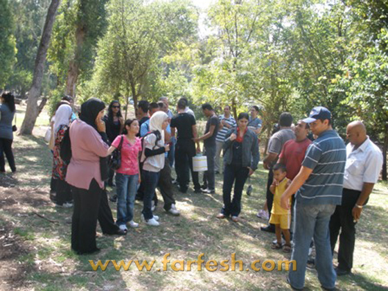 المنارة ترعى رحلة ترفيهية لمنتسبيها إلى منطقة طبريا المنارة ترعى رحلة ترفيهية لمنتسبيها إلى منطقة طبريا