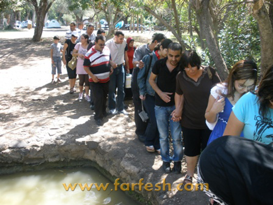 المنارة ترعى رحلة ترفيهية لمنتسبيها إلى منطقة طبريا المنارة ترعى رحلة ترفيهية لمنتسبيها إلى منطقة طبريا