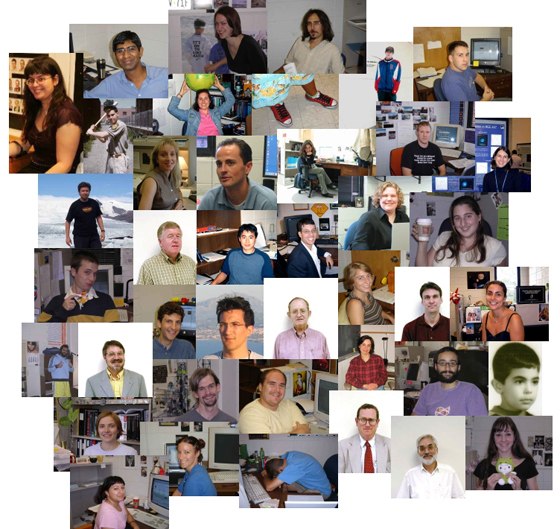 هل للفيروسات فضل في تطوير البشر؟!!