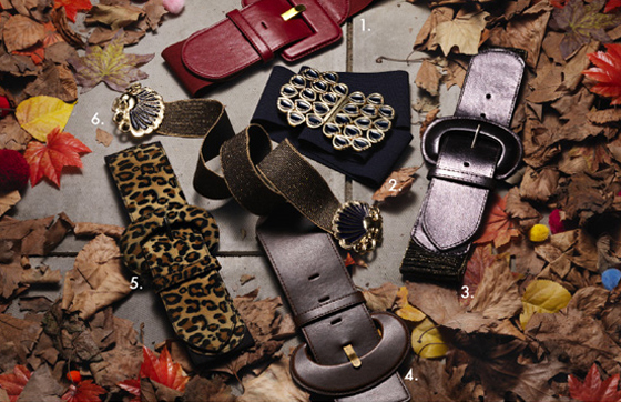 اكسسوارات انيقة تلاءم جميع الاذواق 