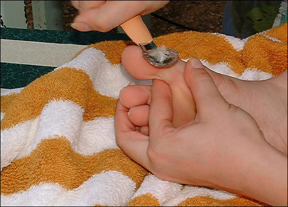 إليك من موقع شايف طريقة البديكير بالصور!!