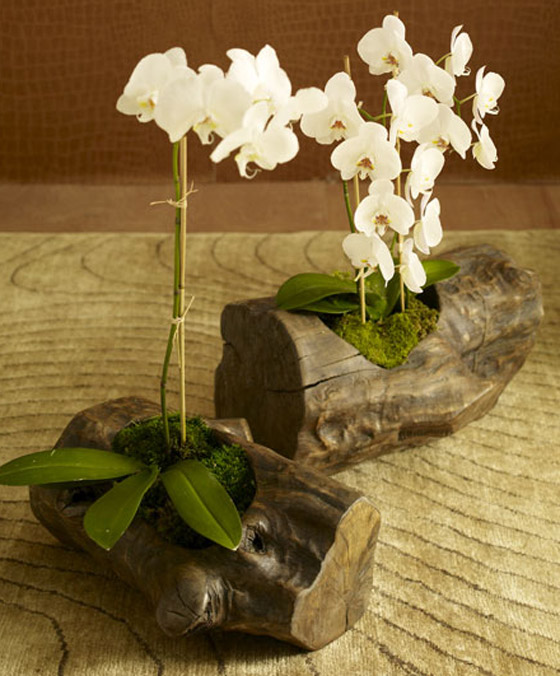 كماليات المنزل بقطعة!!