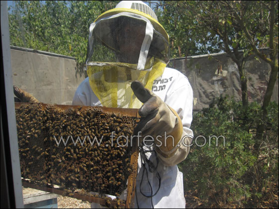 إختتام مخيم "التسامح والمحبة " في مدرسة الامل للتعليم الخاص