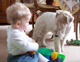 دراسة تبين.. فوائد الكلب لتخفيف القلق عند اطفال التوحد.