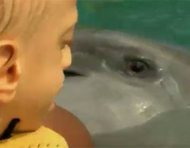 التفاعل مع الدلافين هو علاج جديد لاطفال التوحد والشلل الدماغي 