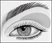 لمكياج جميل.. اليك كيفية وضعه الصحيحة!