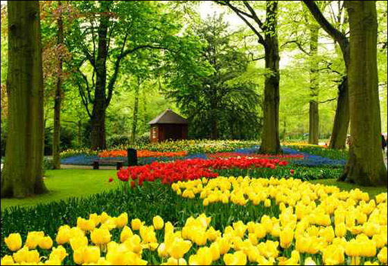 اليكم.. اجمل الحدائق المنزلية الطبيعية والمميزة!