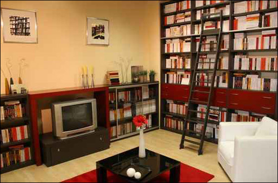 اليكم.. تشكيلة رائعة من المكتبات البيتية!!