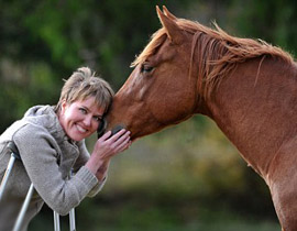 "دم البقرة" ينقذ حياة امرأة فقدت 4 ليترات من الدم!!