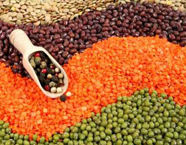 ما هو السبب وراء تفشي البكتيريا المعوية "ايكولاي" في المانيا؟!