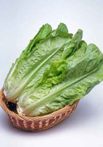 اهم النصائح للحفاظ على بيت جميل.. وصحي!