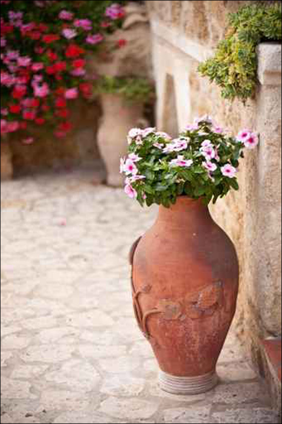 قواوير للورود بأشكال وألوان رائعة تزيد منزلك جمالا! 