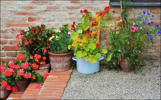 قواوير للورود بأشكال وألوان رائعة تزيد منزلك جمالا! 