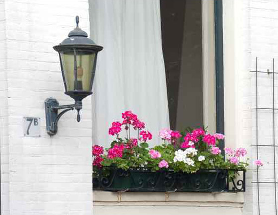 قواوير للورود بأشكال وألوان رائعة تزيد منزلك جمالا! 