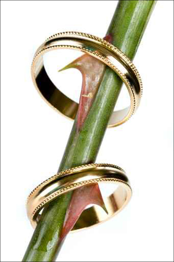 صور لخواتم زفاف راقية.. تناسب ذوق كل إمرأة! صور لخواتم زفاف راقية.. تناسب ذوق كل إمرأة!