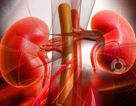 شفاء طفل من فشل كبدي حاد من خلال زرع خلايا مؤقتة!