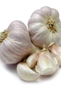 زيت الثوم دواء للقلب ومفيد الجسم!