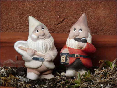 اليكم اطرف زينة للحديقة.. الاقزام!