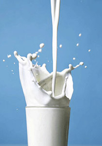استهلاك الكالسيوم في حال عدم القدرة على هضم اللاكتوز (سكر الحليب)