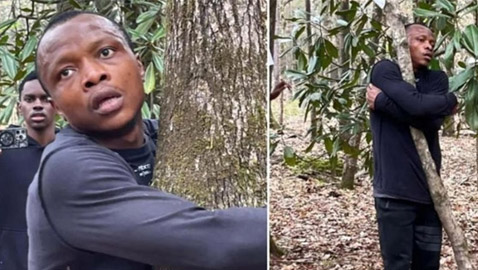 غانا.. رجل يعانق أكثر من ألف شجرة لتسجيل رقم قياسي