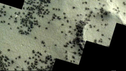 صورة.. ما سر ظهور عناكب على سطح المريخ؟