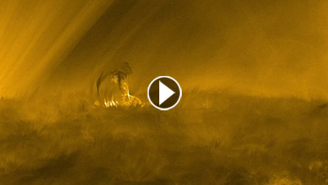 فيديو مدهش: رصد مشهد غريب على سطح الشمس