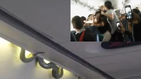 5 مواقف غريبة وتصرفات أغرب من الركاب تسببت بهبوط طائرات!