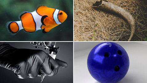 أغرب الأشياء والأمور التي يسمح أمن المطار بتمريرها!