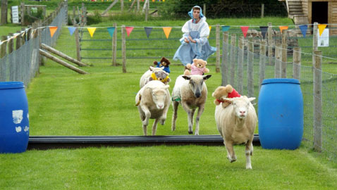 تعرفوا على أغرب سباقات الحيوانات حول العالم